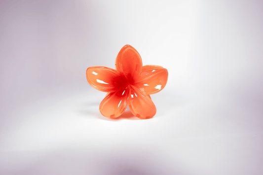 Pince à cheveux - simple tipanier