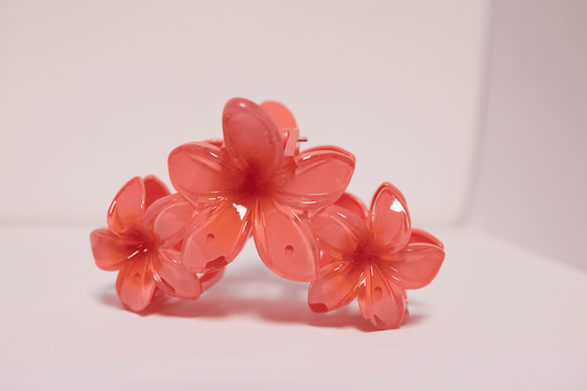 Pince à cheveux - 3 tipanier