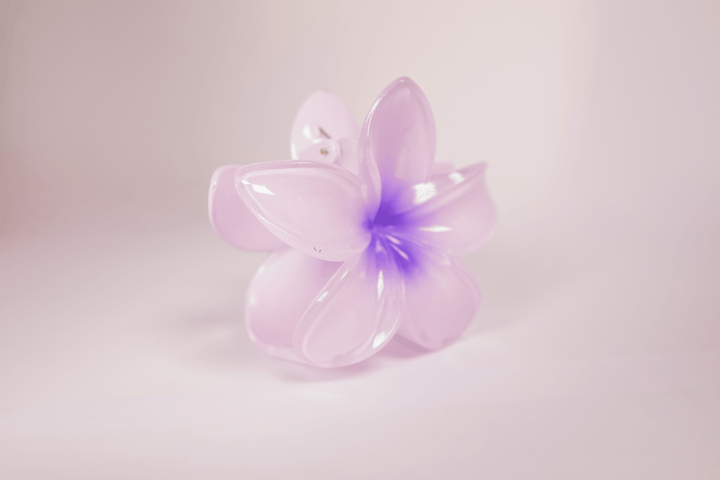 Pince à cheveux - simple tipanier