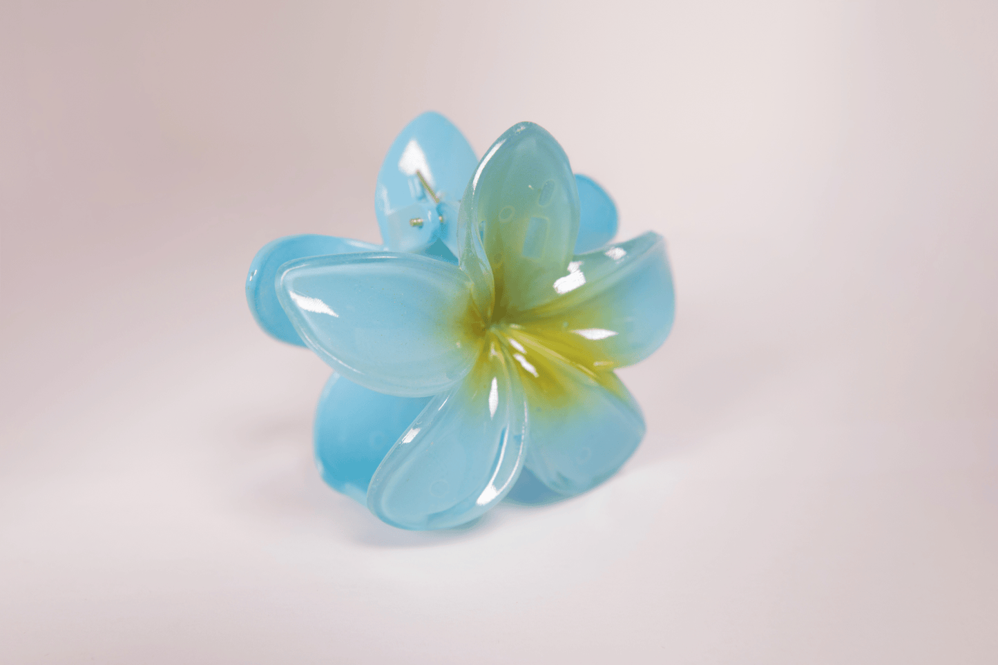 Pince à cheveux - simple tipanier