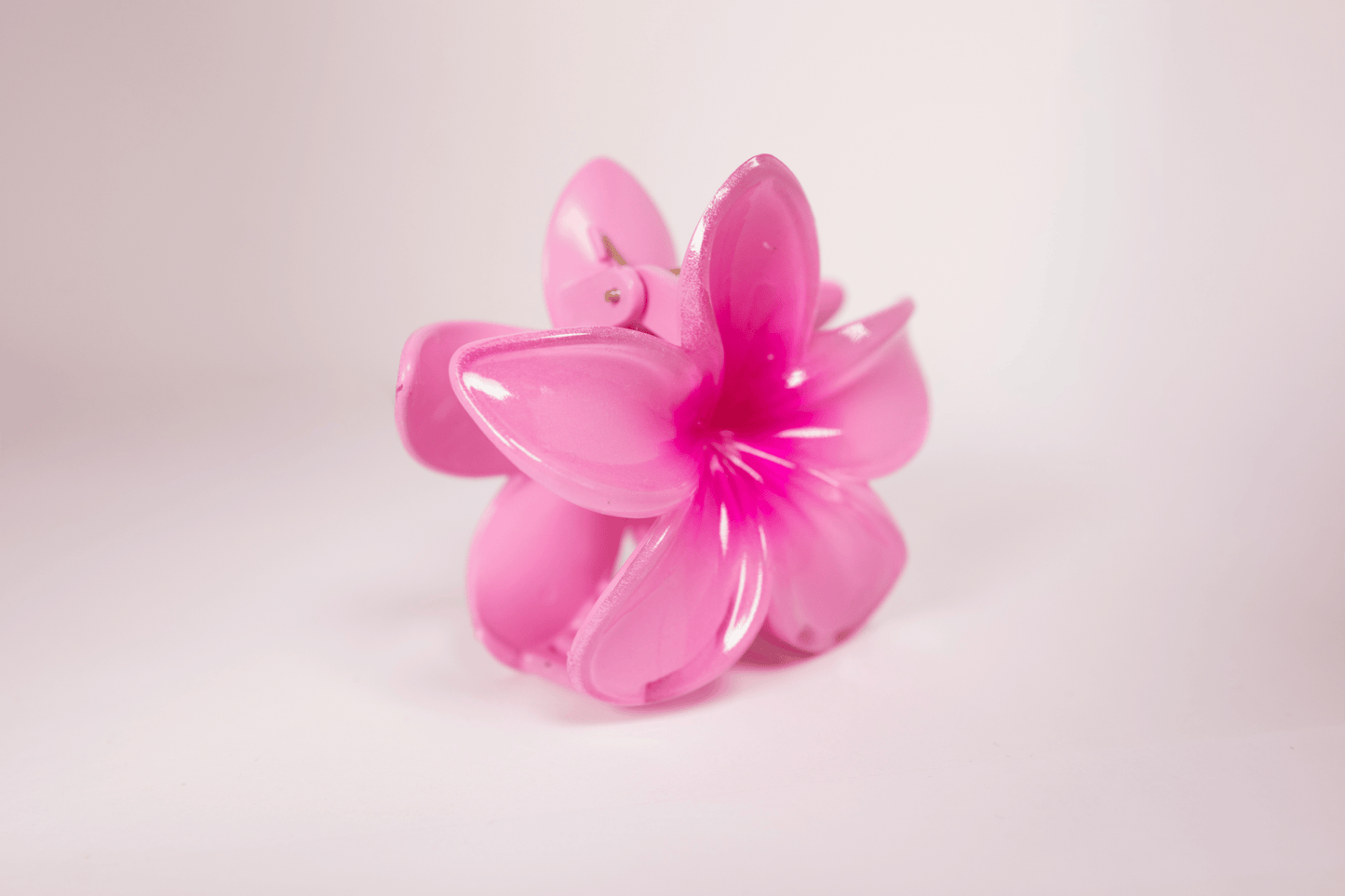 Pince à cheveux - simple tipanier