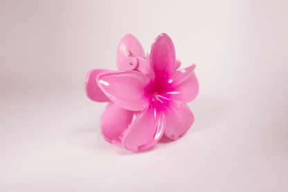 Pince à cheveux - simple tipanier