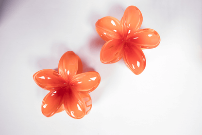 Pince à cheveux - simple tipanier