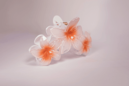 Pince à cheveux - 3 tipanier