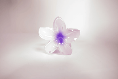 Pince à cheveux - simple tipanier