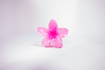 Pince à cheveux - simple tipanier