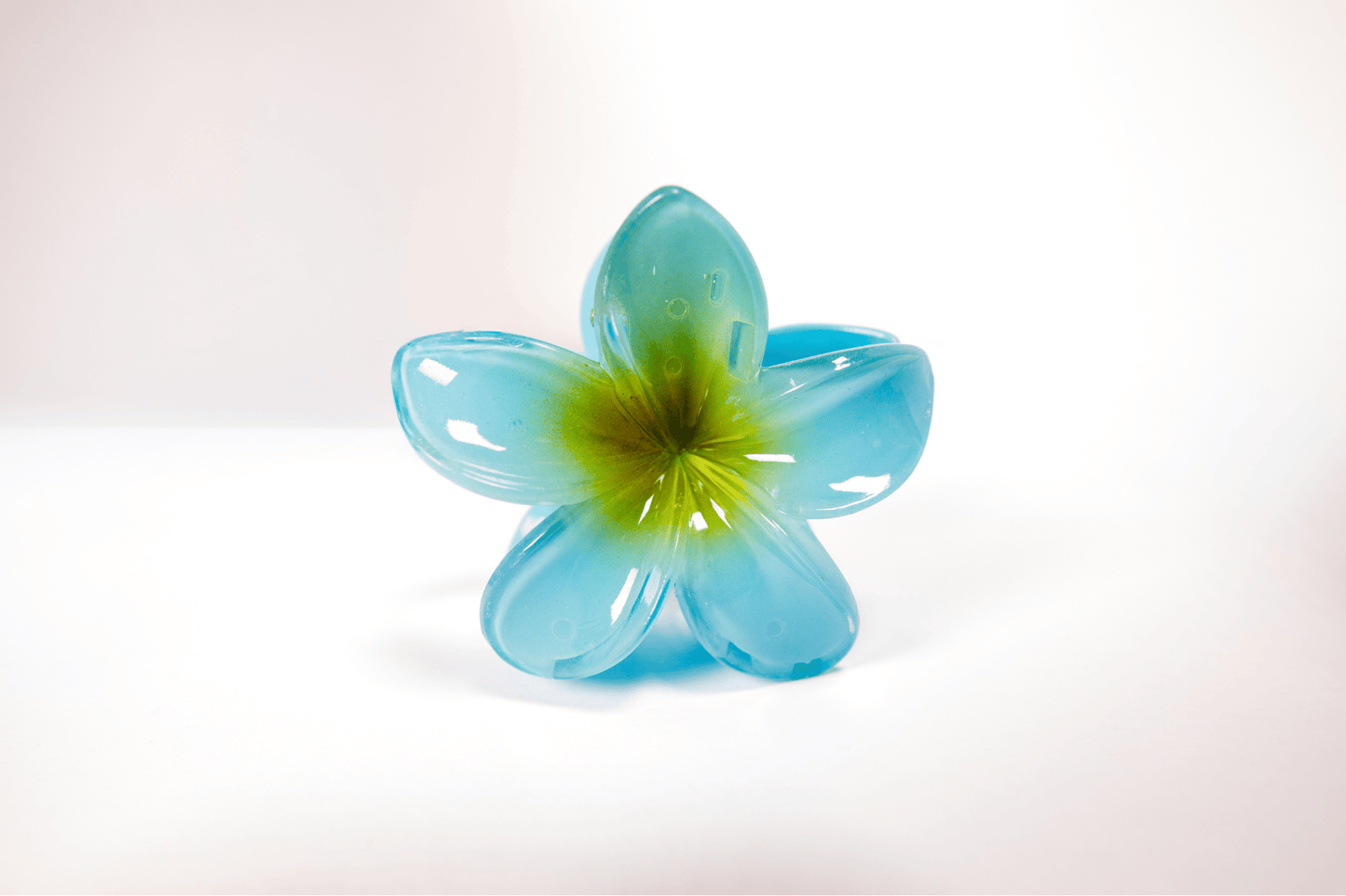 Pince à cheveux - simple tipanier