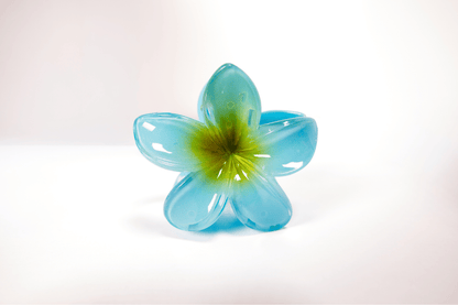 Pince à cheveux - simple tipanier