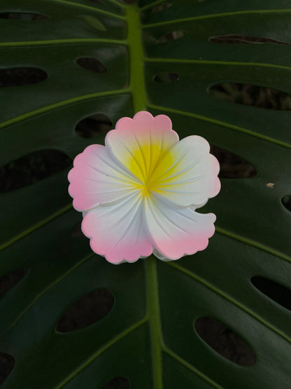 Pince à cheveux hibiscus
