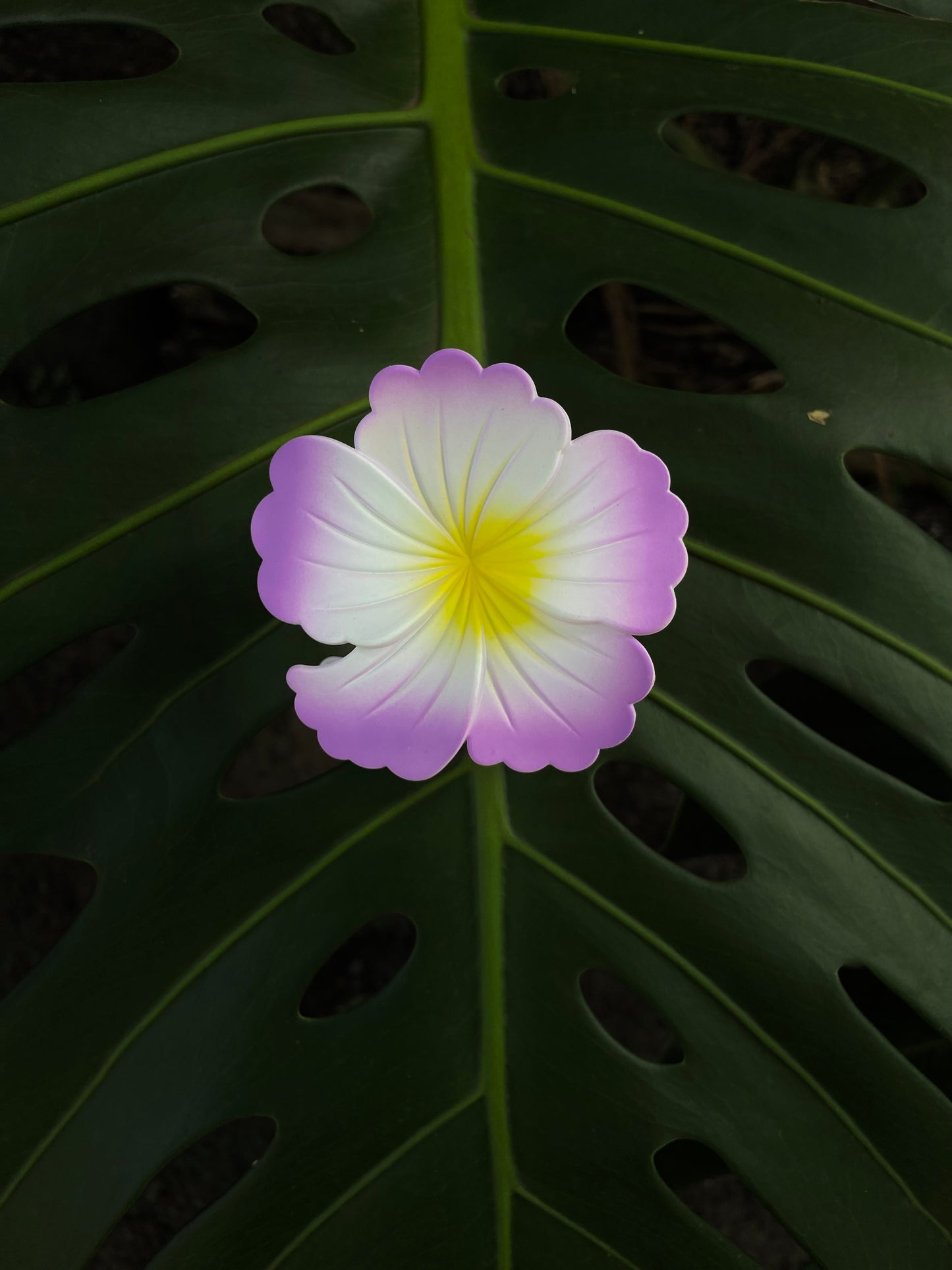 Pince à cheveux hibiscus