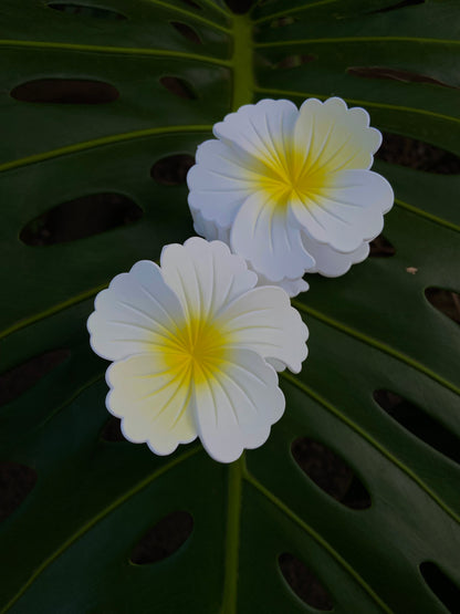 Pince à cheveux hibiscus