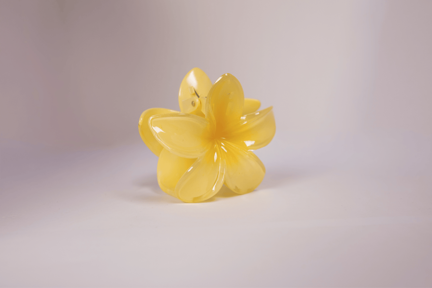 Pince à cheveux - simple tipanier